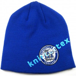 Embroidered Blue Plain Beanie