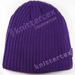 Stylish Rib Knit Purple Beanie